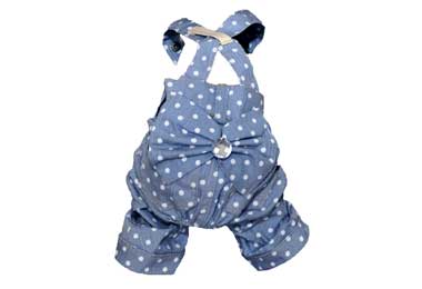 Polka Dotted Dog Pants with Suspenders
